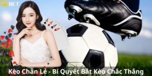 keo-chan-le-v9bet